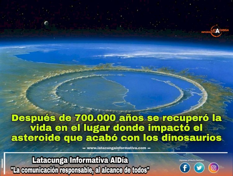 Después de  años se recuperó la vida en el lugar donde impactó el  asteroide que acabó con los dinosaurios - Latacunga - Informativa