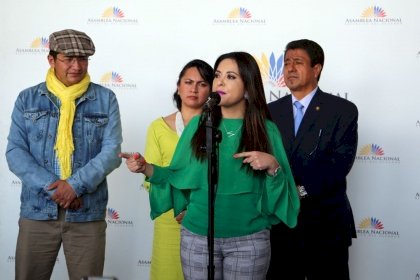 Legisladores que integraron la comisión ad hoc rechazaron la acción de protección propuesta por Guadalupe Llori